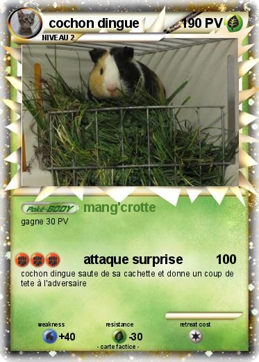 Pokemon cochon dingue