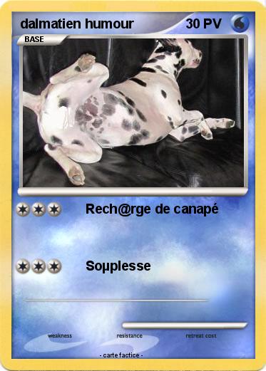 Pokemon dalmatien humour