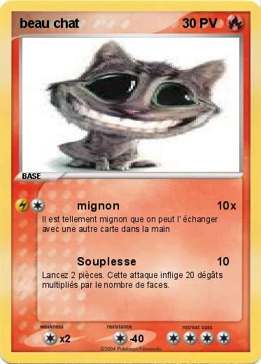 Pokemon beau chat