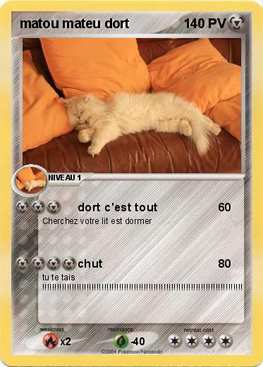 Pokemon matou mateu dort