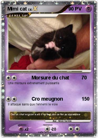 Pokemon Mimi cat
