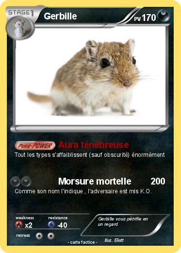 Pokemon Gerbille