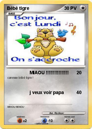 Pokemon Bébé tigre