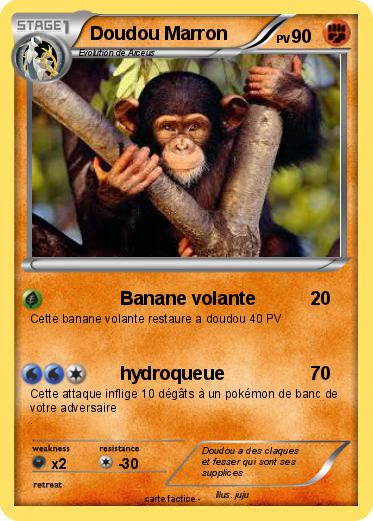 Pokemon Doudou Marron