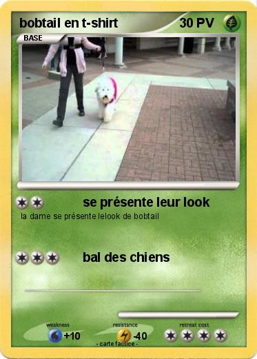 Pokemon bobtail en t-shirt