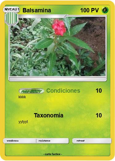 Pokemon Balsamina