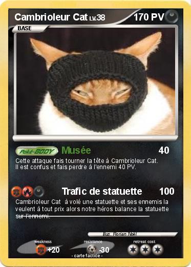 Pokemon Cambrioleur Cat