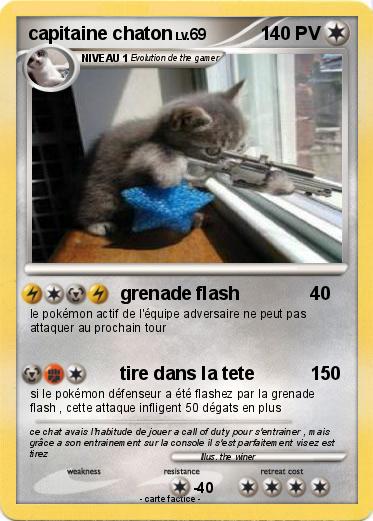 Pokemon capitaine chaton