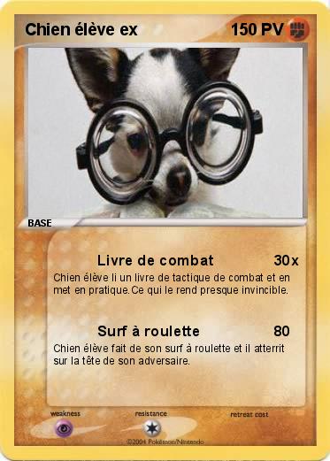 Pokemon Chien élève ex