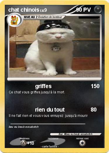 Pokemon chat chinois