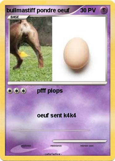 Pokemon bullmastiff pondre oeuf