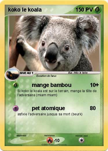 Pokemon koko le koala