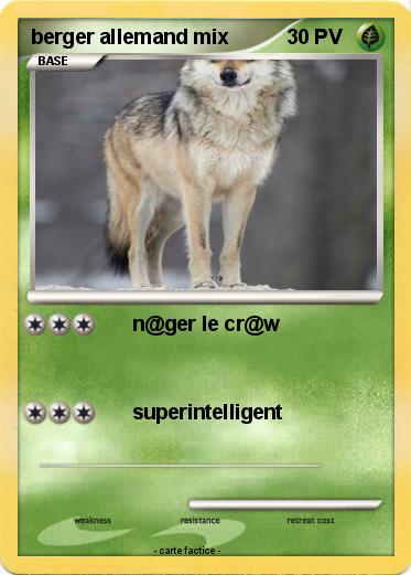 Pokemon berger allemand mix