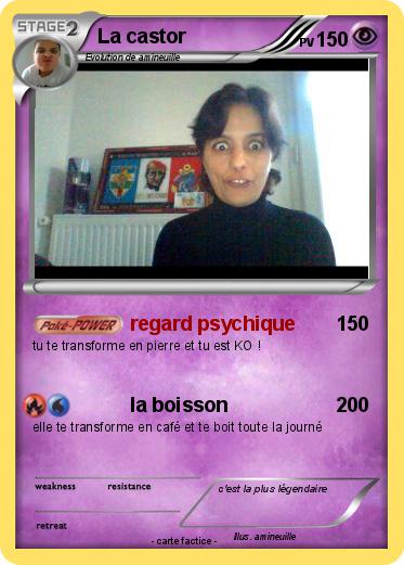 Pokemon La castor