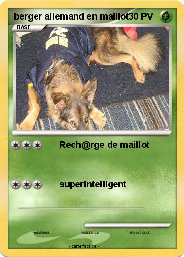 Pokemon berger allemand en maillot