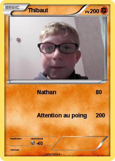 Pokemon Thibaut