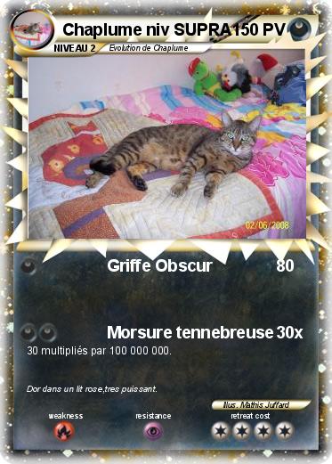 Pokemon Chaplume niv SUPRA