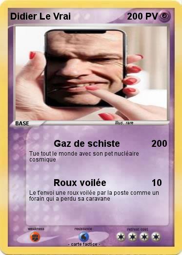 Pokemon Didier Le Vrai