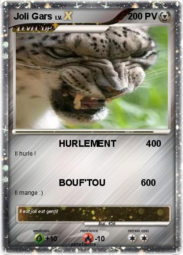 Pokemon Joli Gars