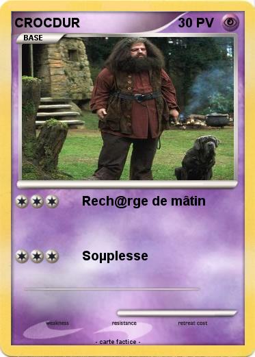 Pokemon CROCDUR