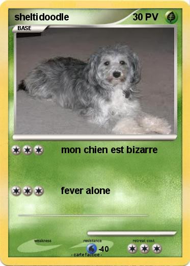 Pokemon sheltidoodle