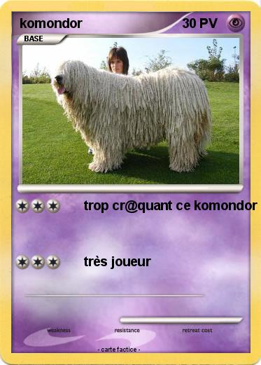 Pokemon komondor