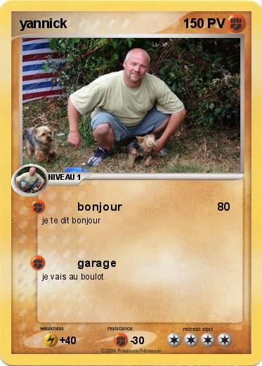 Pokemon yannick
