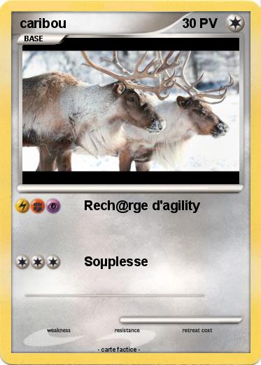 Pokemon caribou