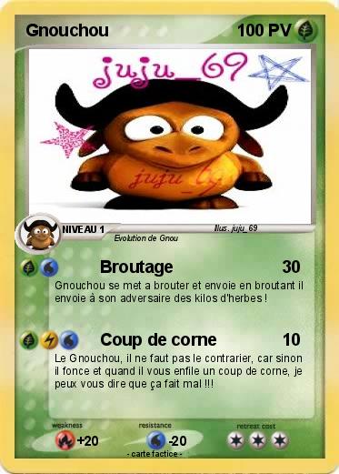 Pokemon Gnouchou