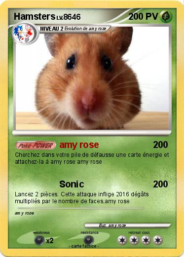 Pokemon Hamsters
