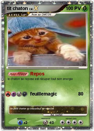 Pokemon tit chaton