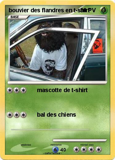 Pokemon bouvier des flandres en t-shirt