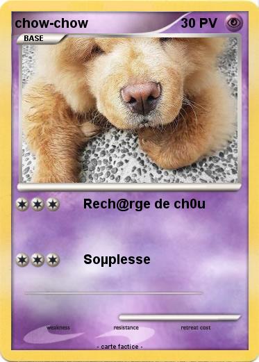 Pokemon chow-chow