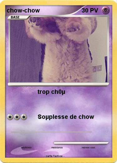 Pokemon chow-chow