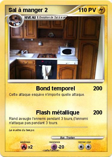 Pokemon Sal à manger 2
