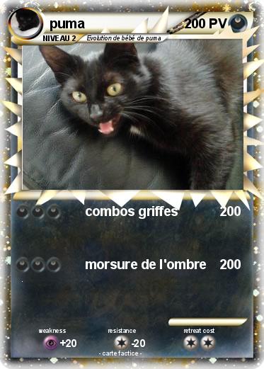 Pokemon puma