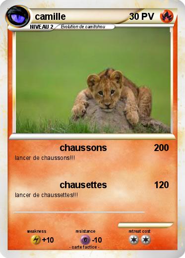 Pokemon camille