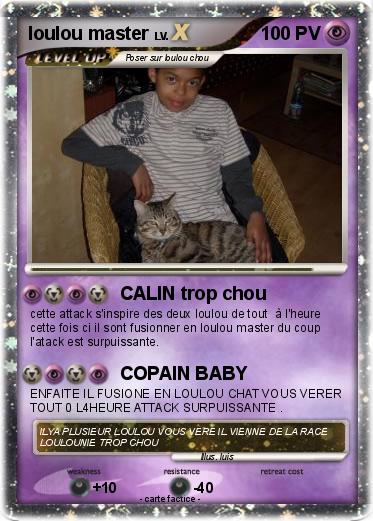 Pokemon loulou master