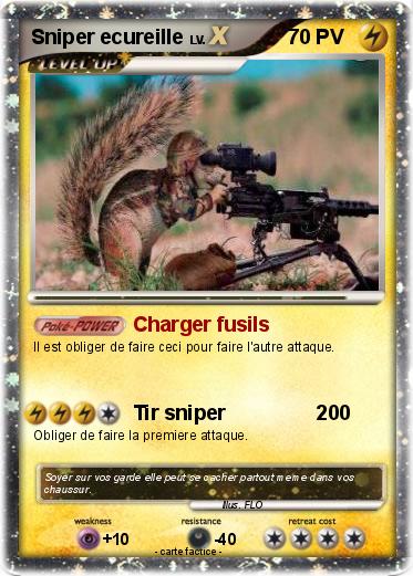 Pokemon Sniper ecureille