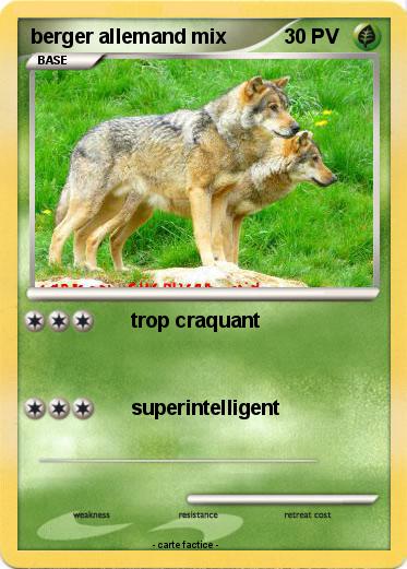 Pokemon berger allemand mix
