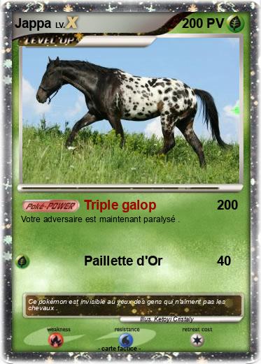 Pokemon Jappa