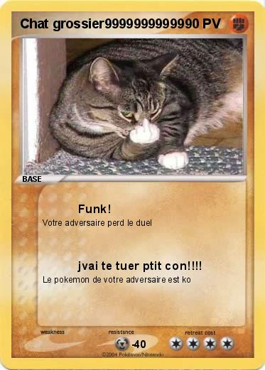 Pokemon Chat grossier99999999999