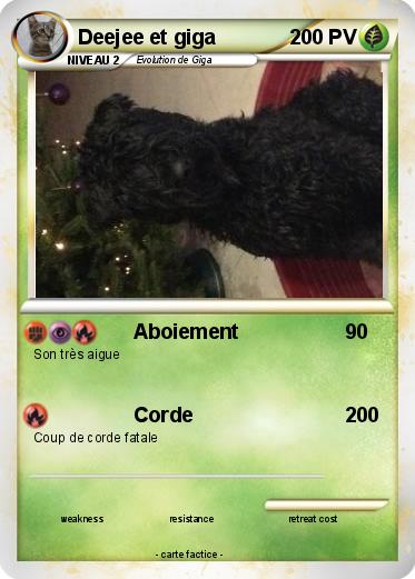 Pokemon Deejee et giga