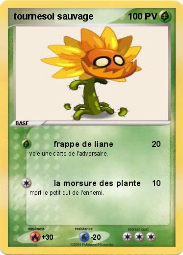 Pokemon tournesol sauvage