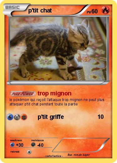 Pokemon p'tit chat