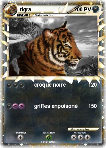 Pokemon tigra