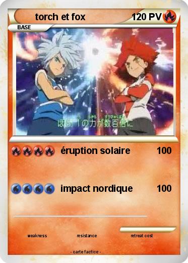 Pokemon torch et fox
