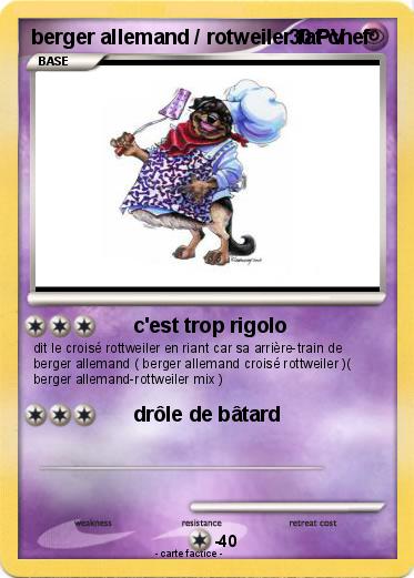 Pokemon berger allemand / rotweiler fat chef