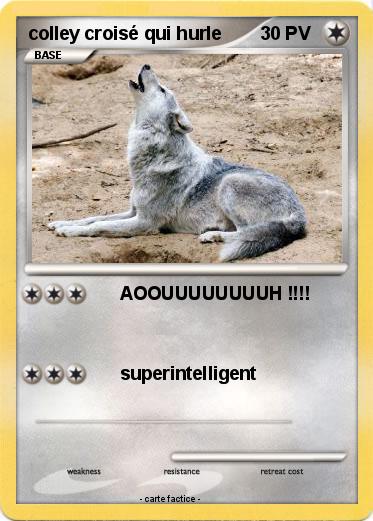 Pokemon colley croisé qui hurle