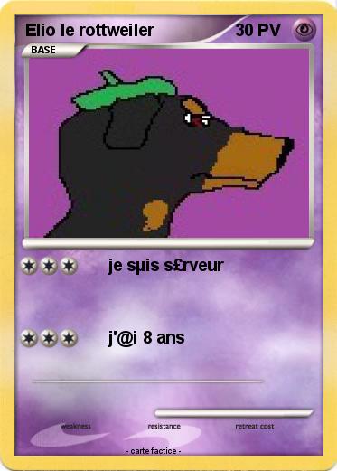 Pokemon Elio le rottweiler